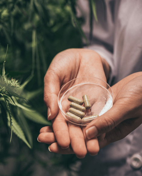 Medical cannabis prescription provider in Austin